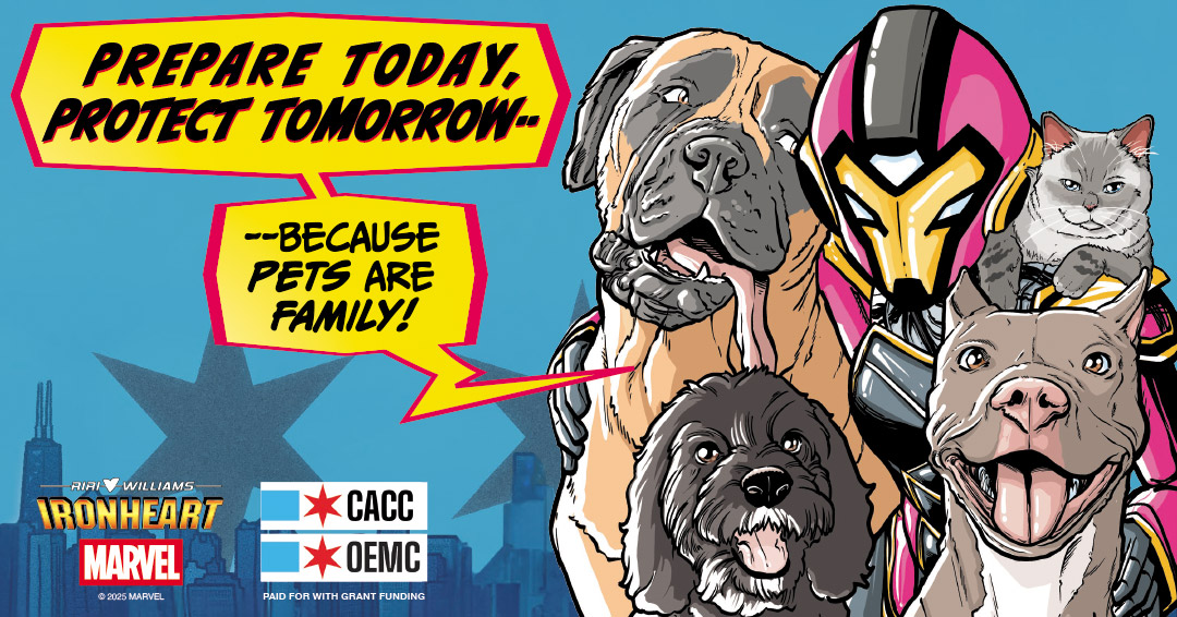 Ironheart Pet Safety